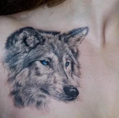 tattoo-lobo-cinza-com-olhos-azuis_large.jpg